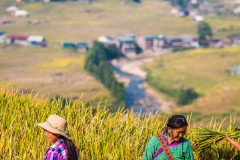 东兴越南河内旅游攻略（带你领略越南河内的美景）