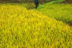 三亚到越南河内旅游攻略,越南河内旅游必去景点推荐