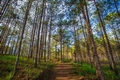 介绍越南芽庄旅游攻略让你轻松玩转芽庄