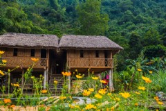 从重庆到越南芽庄旅游，有哪些交通方式(1)