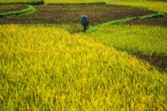 从芽庄到胡志明旅游攻略越南之旅的精彩体验