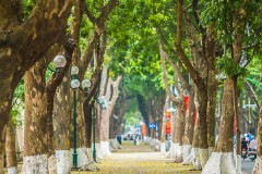 从越南胡志明市到芽庄旅游攻略（交通住宿景点介绍）