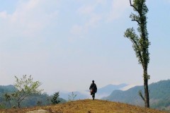 7月越南芽庄旅游攻略（推荐必去景点和美食）