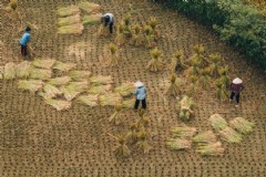 19年芽庄珍珠岛旅游攻略（畅游珍珠岛的必备指南）