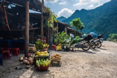 从芽庄到河内，旅游大巴有哪些优惠政策