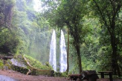 巴厘岛的旅游体验项目 巴厘岛的旅游体验项目有哪些