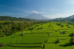 巴厘岛为什么是旅游胜地 巴厘岛为什么是旅游胜地呢