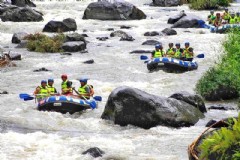 巴厘岛旅游费用标准 巴厘岛旅游费用标准表