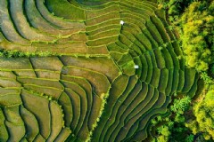 暑期境外旅游巴厘岛(旅游巴厘岛攻略)