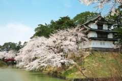 一个人去日本旅游要多少钱费用 去日本旅游一周大概要花多少钱？除了护照外，需要满足什么条件才能申请去日本旅游？