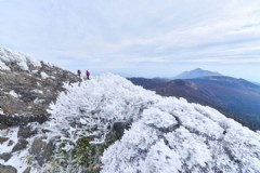 五月北海道旅游天气(五月北海道旅游天气预报)