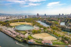 京都旅游需要支付城市税吗(日本京都最美的地方是哪里？)