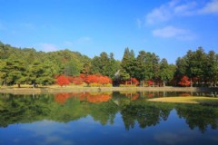 首尔旅游挺失望的 中国人为什么去日本，韩国旅游？