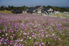 广西北海道旅游能花销多少？广西北海道旅游能花销多少钱