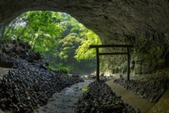 带着狗子去京都旅游好吗 为什么在中国，自古对“狗”的评价都很差？