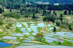 非诚勿扰的北海道旅游攻略？非诚勿扰北海道酒店叫啥