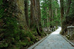 日本旅游必备顺畅的接送服务，畅游全日本