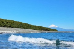 京都旅游大概要花多少钱？京都旅游大概要花多少钱呢