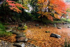 武汉到广西北海道旅游攻略，武汉到北海自驾沿途景点？