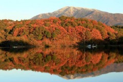 日本北海道旅游 日本北海道旅游团