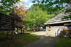 怎么去北海道高桥岛旅游 新潟县有什么好玩的地方？哪些景点必去？