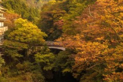 京都旅游攻略青岛(以前跟过团去日本旅游，这次想自由行，大家有什么值得推荐的攻略吗？)