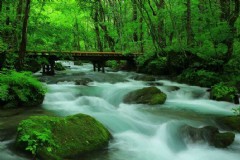 北海道旅游咋样才能去呢，日本北海道什么时候去最好？