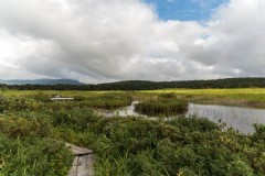 日本旅游签证停留期多长,如何延长日本旅游签证的停留期