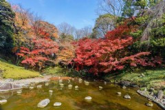 京都哪些旅游景区好玩 京都哪些旅游景区好玩的