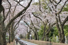 12月最佳季节，来一场名古屋之旅