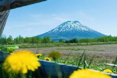 北海道旅游一个月费用多少 韩国济州岛和日本北海道哪个更适合旅游？