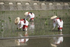 我的冲绳石垣岛旅游，冲绳石垣岛旅游攻略