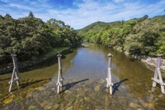 北海道旅游热吗今天天气(北海道旅游热吗今天天气预报)