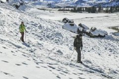 怎样去奥克兰旅游（详细攻略指南）