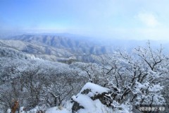 韩国到新西兰旅游需要多少费用？