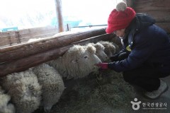 去韩国旅游一周需要多少钱，260万韩元去韩国旅行一周够吗？