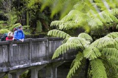 新西兰徒步火山旅游，世界上最新的火山是哪一座？