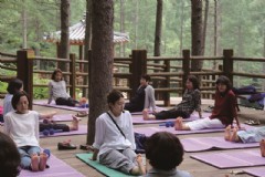 济州岛花世界游玩攻略,济州岛花世界门票价格及优惠信息