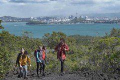 澳洲新西兰旅游攻略（详细介绍旅游线路和注意事项）