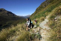 株洲新西兰旅游景点大全（探索株洲的新西兰式风光）