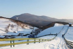 韩国旅游护照有效期 韩国旅游护照有效期几年